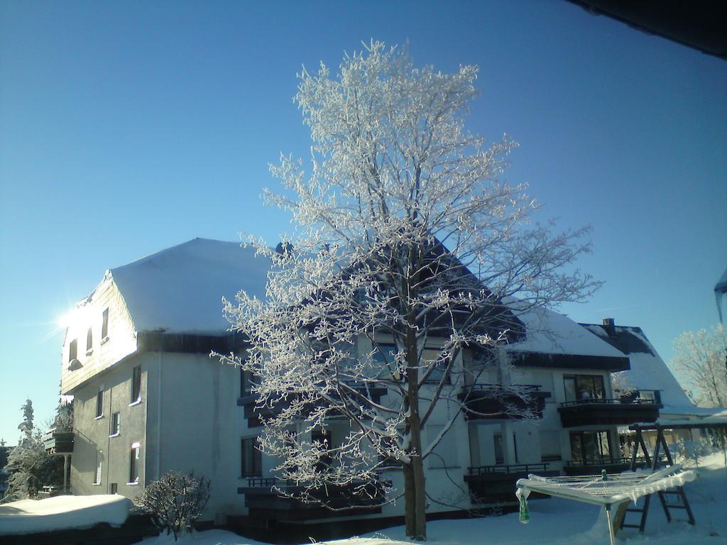 Haus Nicole Apartment Winterberg Luaran gambar